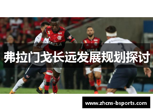 弗拉门戈长远发展规划探讨