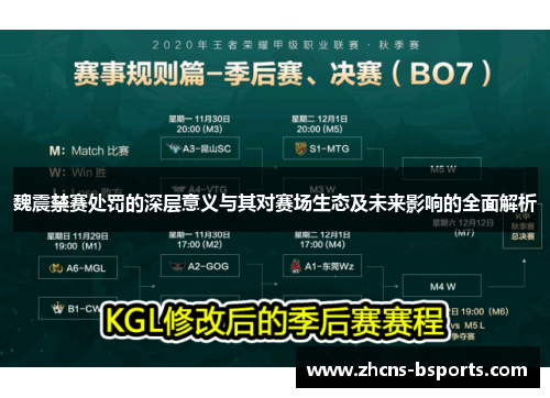 魏震禁赛处罚的深层意义与其对赛场生态及未来影响的全面解析