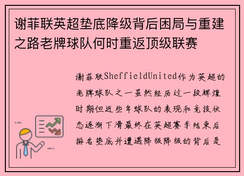 谢菲联英超垫底降级背后困局与重建之路老牌球队何时重返顶级联赛 谢菲联英超垫底降级背后困局与重建之路老牌球队何时重返顶级联赛